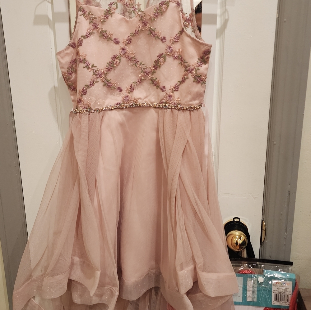 High/low blush dress. No tags, but never worn.